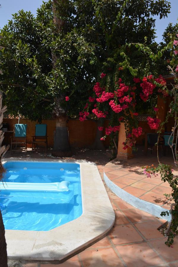 Con Jacuzzi Y Terraza Con Opcion A Piscina Privada * Almuñécar